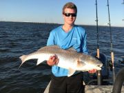 TW’s Bait & Tackle, Daily Fishing report