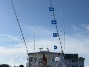 Pirate's Cove Marina, Marlin Madnes!