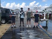 Pirate's Cove Marina, Thursday’s Catch!