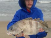 TW’s Bait & Tackle, Daily Fishing Report