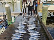 Pirate's Cove Marina, Blackfin Friday!