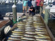 Pirate's Cove Marina, Wednesday’s Catch!