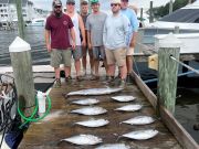 Pirate's Cove Marina, It’s Tournament Time!