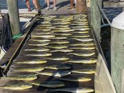 Pirate's Cove Marina, Wrapping Up Tournament Week!