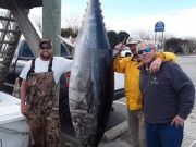 TW’s Bait & Tackle, Daily Fishing Report