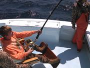 Tuna Duck Sportfishing, Bluefin Released