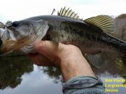 TW’s Bait & Tackle, Daily Fishing Report