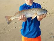 TW’s Bait & Tackle, Daily Fishing Report