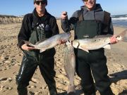 TW’s Bait & Tackle, Daily Fishing Report