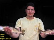 TW’s Bait & Tackle, Daily Fishing Report