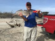 TW’s Bait & Tackle, Daily Fishing Report