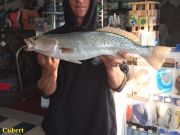 TW’s Bait & Tackle, Daily fishing Report