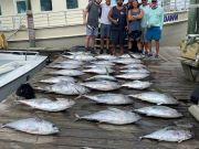 OBX Bait & Tackle Corolla Outer Banks, Corolla Fish Report