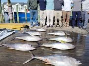 Pirate's Cove Marina, Thursday Fishin’