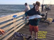 TW’s Bait & Tackle, Daily Fishing Report