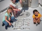 Miss Oregon Inlet II Head Boat Fishing, Blue Fish Thursday