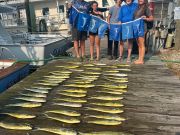 Pirate's Cove Marina, Catch Up With Us!!