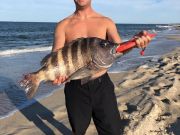 TW’s Bait & Tackle, Daily Fishing Report