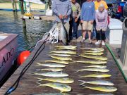 Pirate's Cove Marina, Wednesday’s Catch!