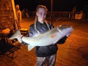 Jennette's Pier, Drum Beat Continues