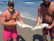 OBX Bait & Tackle Corolla Outer Banks, Corolla Fish Report