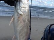 TW’s Bait & Tackle, Daily Fishing Report