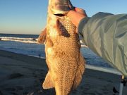 TW’s Bait & Tackle, Daily Fishing Report