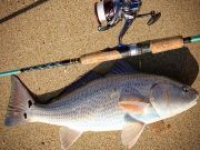 TW’s Bait & Tackle, Daily Fishing Report