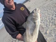 OBX Bait & Tackle Corolla Outer Banks, Corolla Fish Report