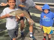 OBX Bait & Tackle Corolla Outer Banks, Corolla Fish Report