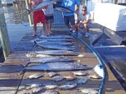 Tuna Duck Sportfishing, Fine Day Today