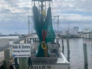 Hallie M Shrimping Charters, Shrimping Charters
