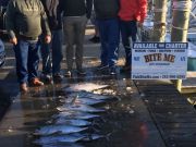 Bite Me Sportfishing Charters, Sunny and Warm offshore in February