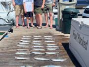 Pirate's Cove Marina, Nearshore Fishin’