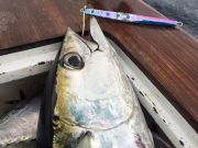 TW’s Bait & Tackle, Daily Fishing Report