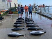 OBX Bait & Tackle Corolla Outer Banks, Corolla Fish Report