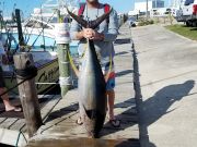 Fishin' Fannatic, Yellowfin Tuna  - 115 lb