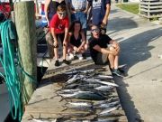 Fishin' Fannatic, Nearshore Fishing is Hot here on the Outer Banks
