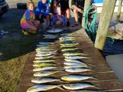 Fishin' Fannatic, Great Week of Offshore Fishing Here on the Outer Banks