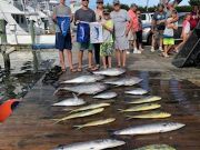 Pirate's Cove Marina, All kinds of fish!