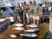 Pirate's Cove Marina, Gotta Love those Tuna and Mahi..