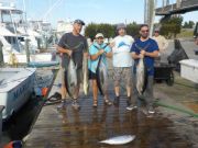 Pirate's Cove Marina, Tuna, Sailfish, and Wahoo...