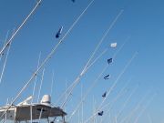Pirate's Cove Marina, Reel Fun!