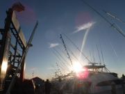Pirate's Cove Marina, Full Riggers!