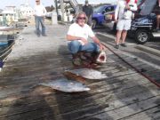Pirate's Cove Marina, Tunas at Pirate's Cove!