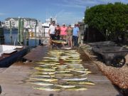 Pirate's Cove Marina, Holy Mahi!