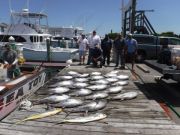 Pirate's Cove Marina, In early with limits!