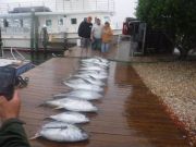 Pirate's Cove Marina, Good thing fish don't mind rain!