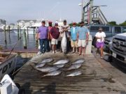 Pirate's Cove Marina, TUNA TIME!