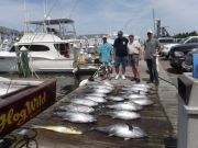 Pirate's Cove Marina, Tuna Time!